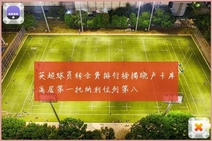 英超球员转会费排行榜揭晓卢卡库高居第一托纳利位列第八